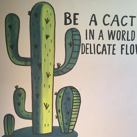 Bajas Cactus Hostel Cabo San Lucas Eksteriør billede