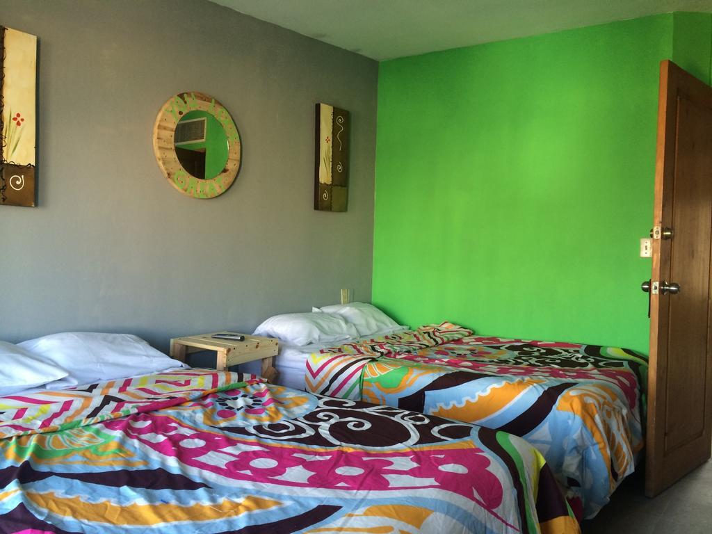 Bajas Cactus Hostel Cabo San Lucas Værelse billede