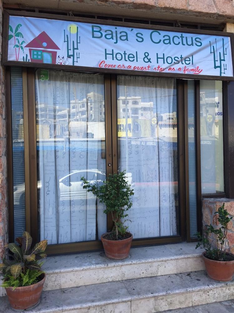 Bajas Cactus Hostel Cabo San Lucas Eksteriør billede