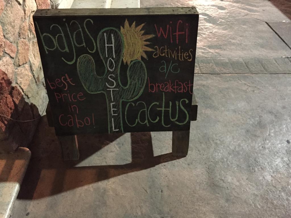 Bajas Cactus Hostel Cabo San Lucas Eksteriør billede