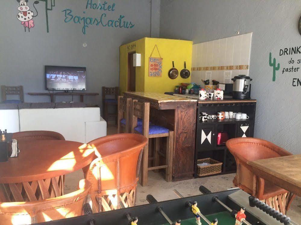 Bajas Cactus Hostel Cabo San Lucas Eksteriør billede