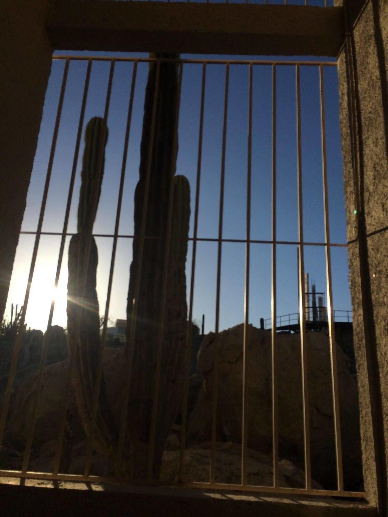 Bajas Cactus Hostel Cabo San Lucas Eksteriør billede