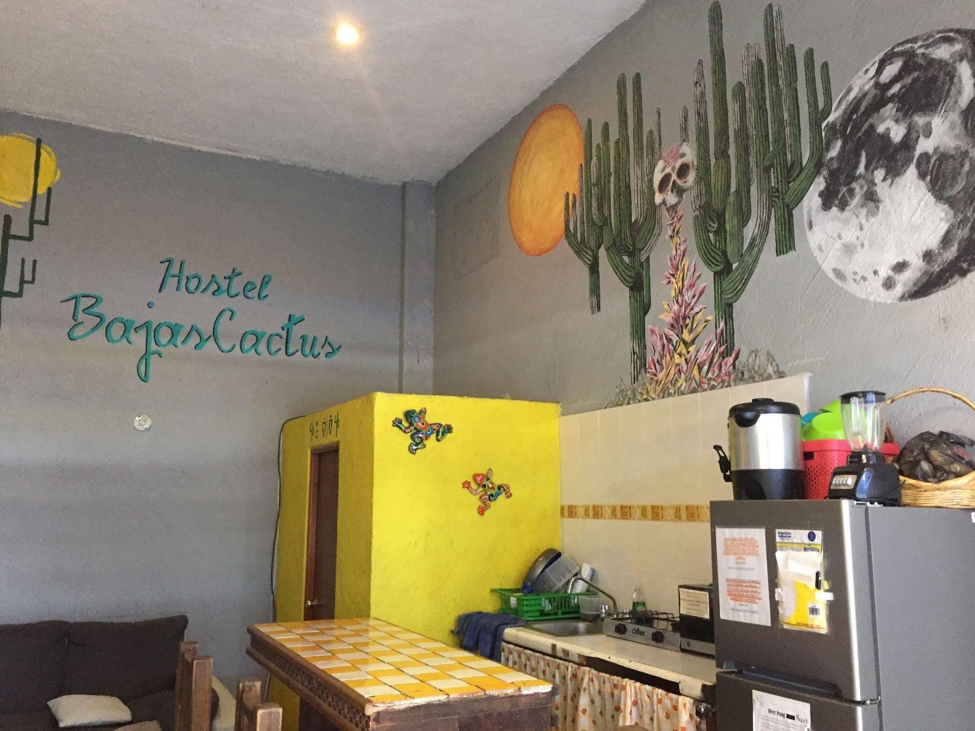 Bajas Cactus Hostel Cabo San Lucas Eksteriør billede