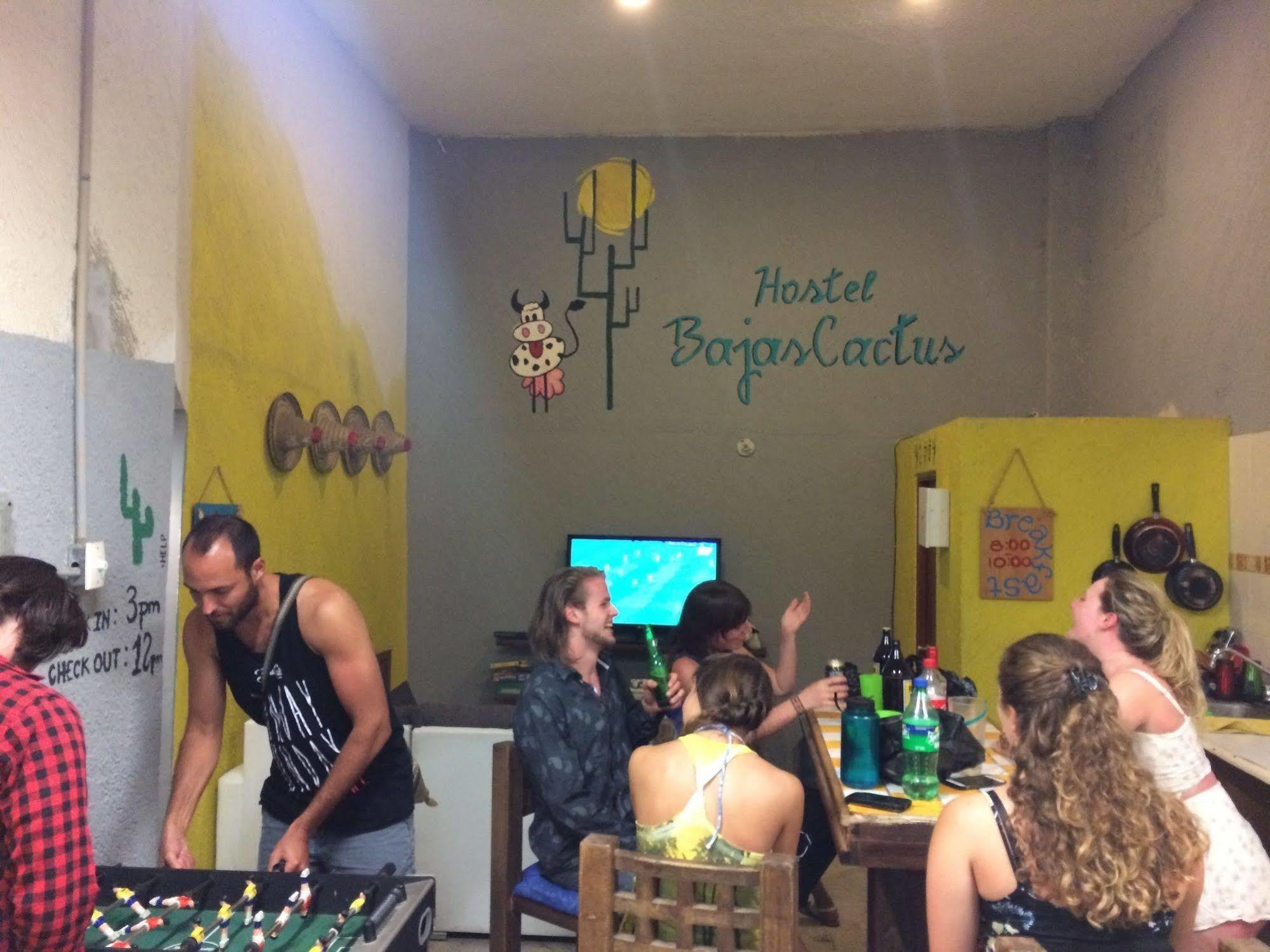 Bajas Cactus Hostel Cabo San Lucas Eksteriør billede