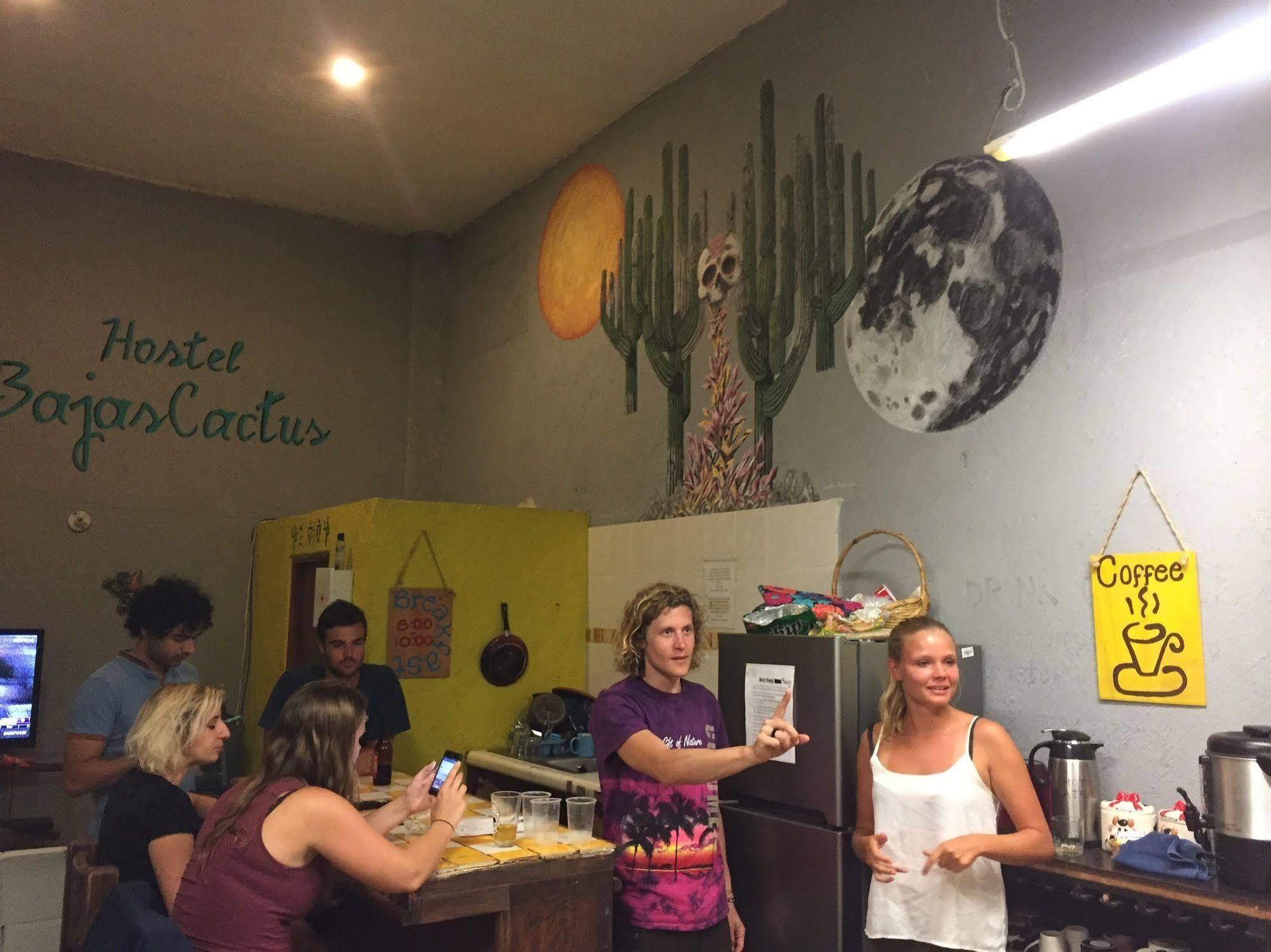 Bajas Cactus Hostel Cabo San Lucas Eksteriør billede