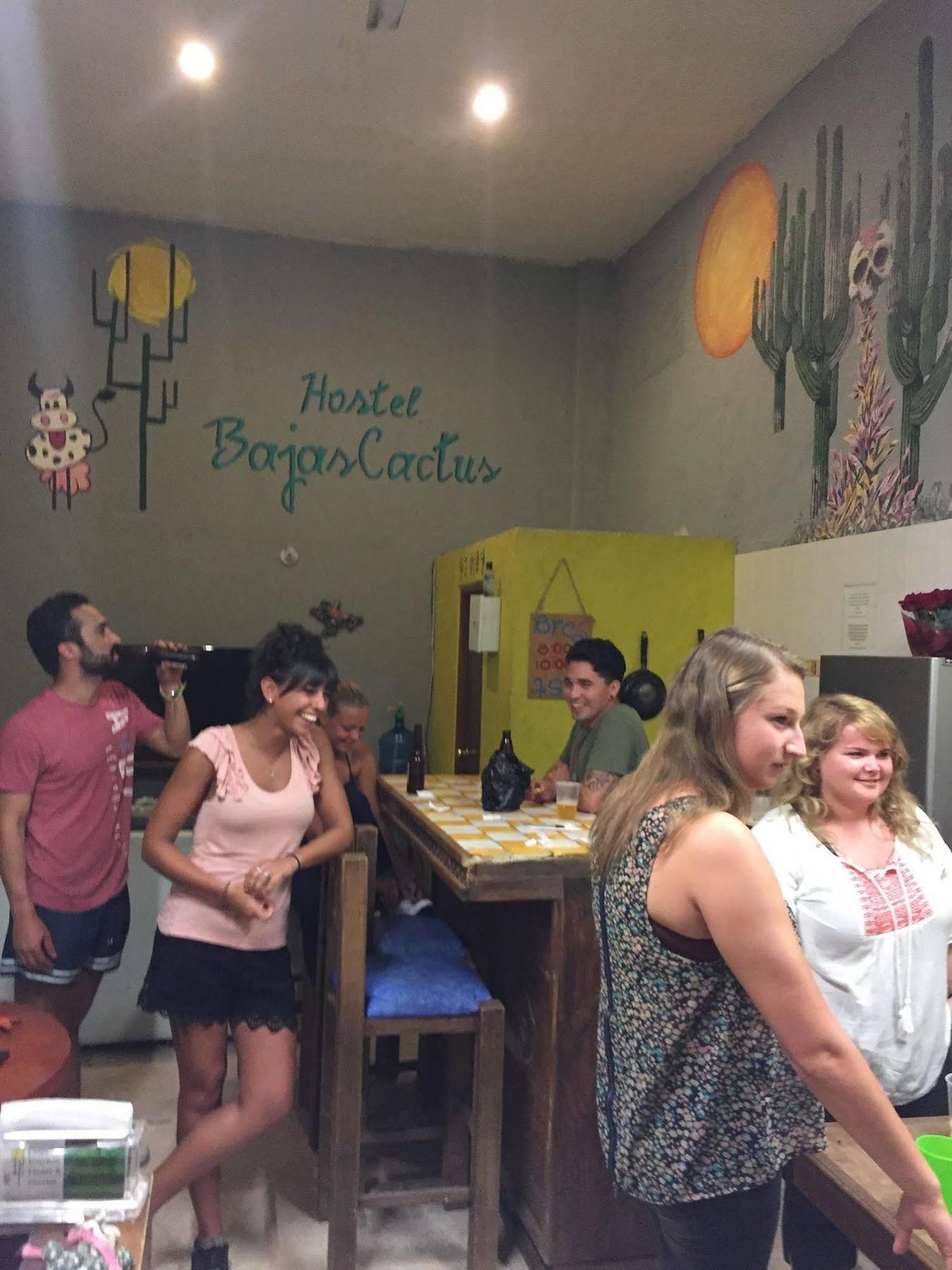 Bajas Cactus Hostel Cabo San Lucas Eksteriør billede