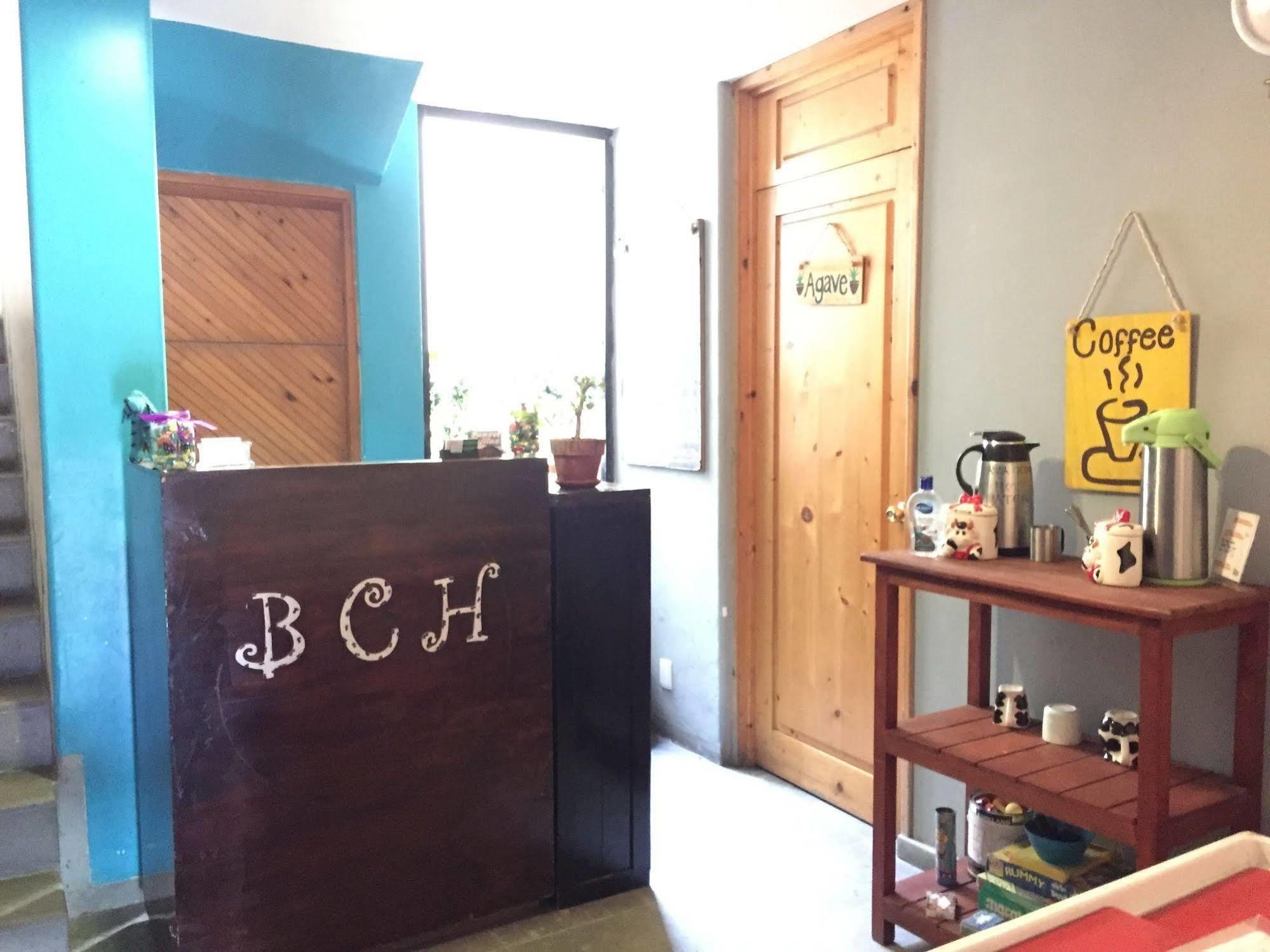Bajas Cactus Hostel Cabo San Lucas Eksteriør billede
