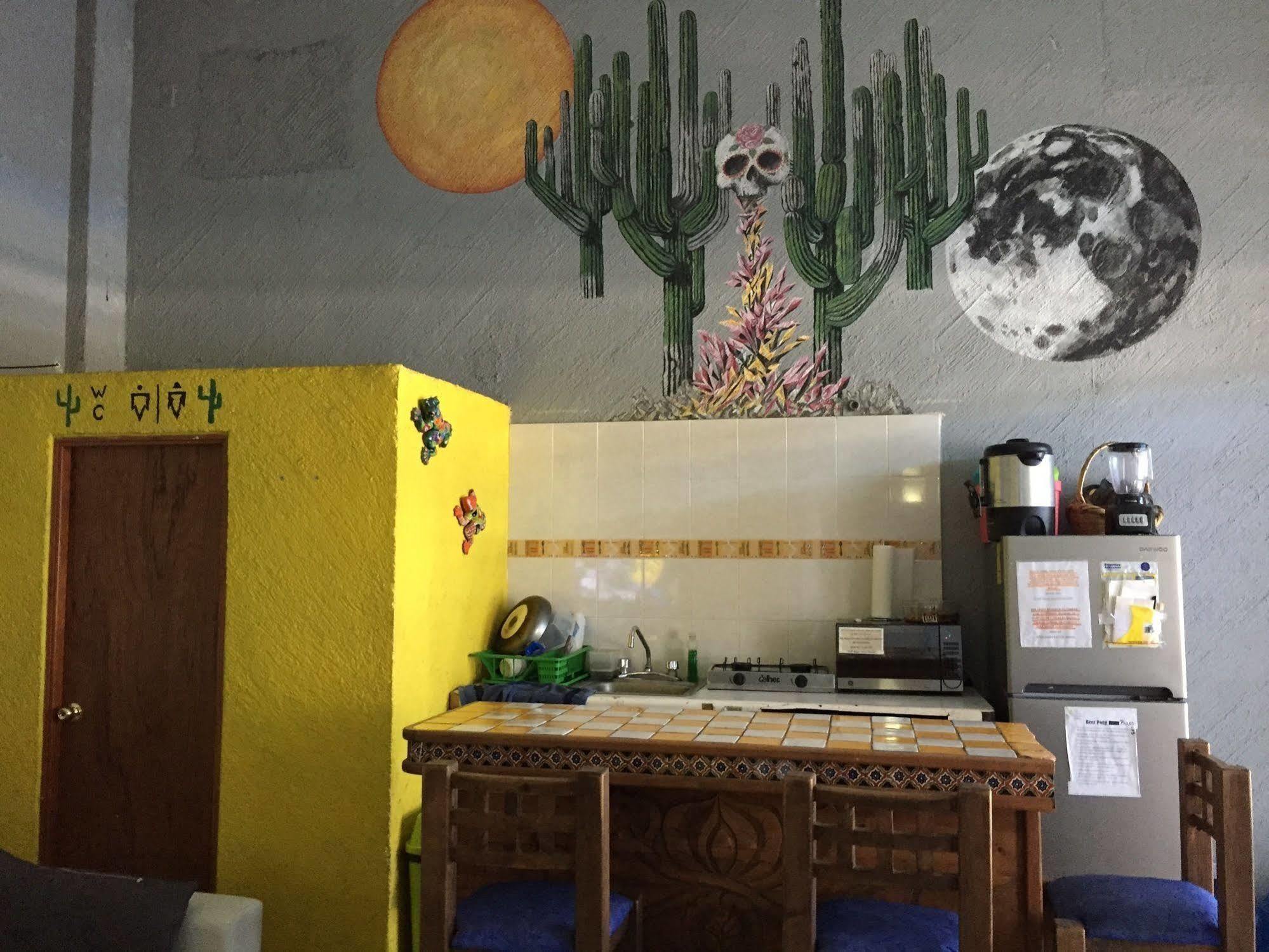 Bajas Cactus Hostel Cabo San Lucas Eksteriør billede
