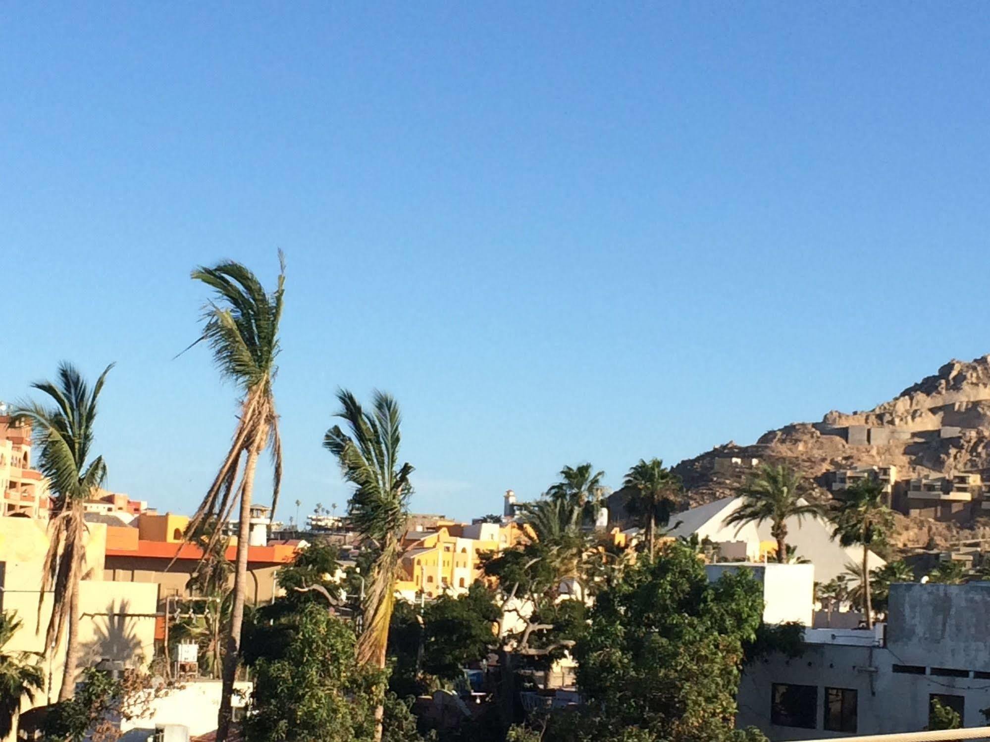 Bajas Cactus Hostel Cabo San Lucas Eksteriør billede