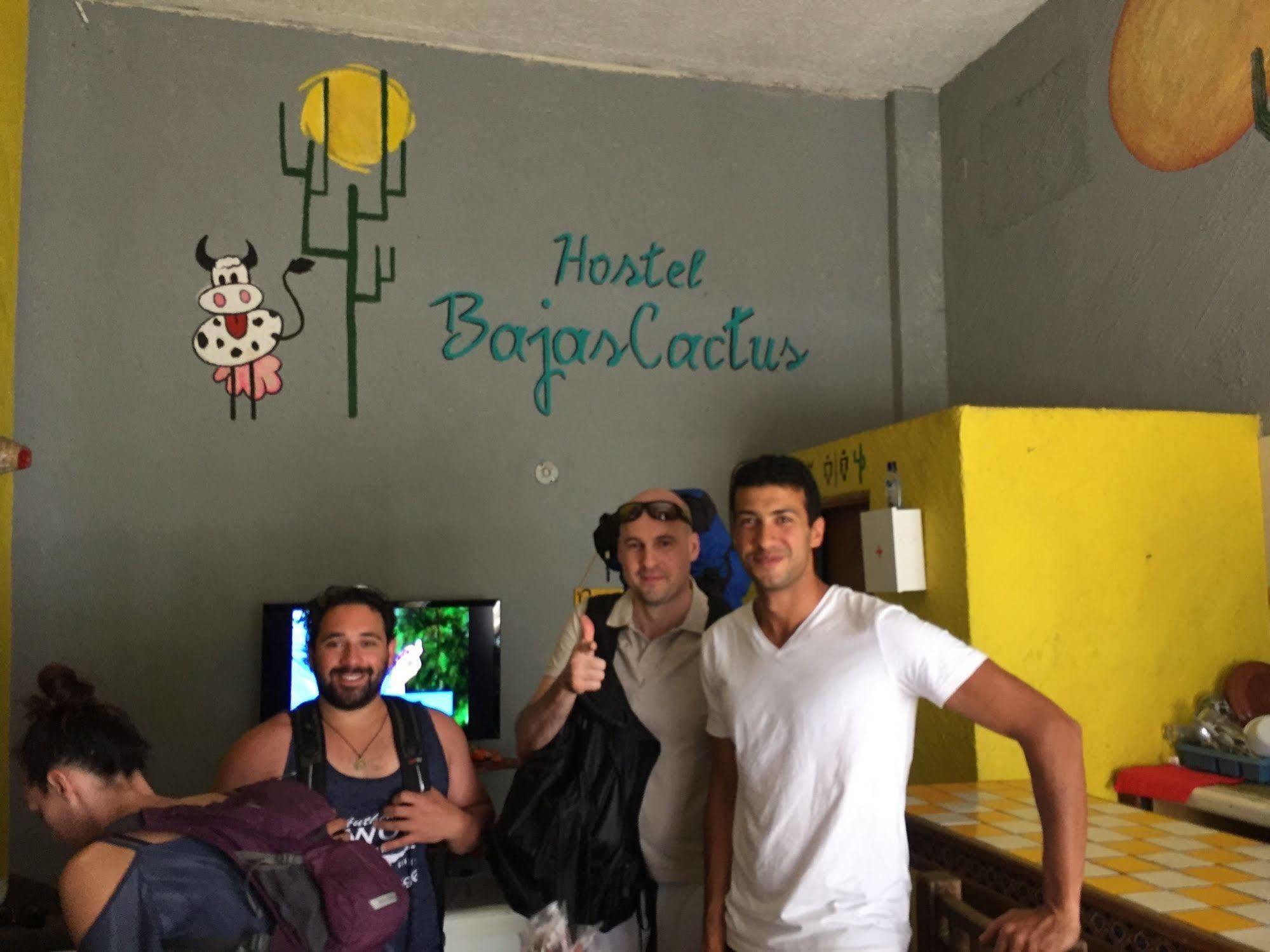 Bajas Cactus Hostel Cabo San Lucas Eksteriør billede