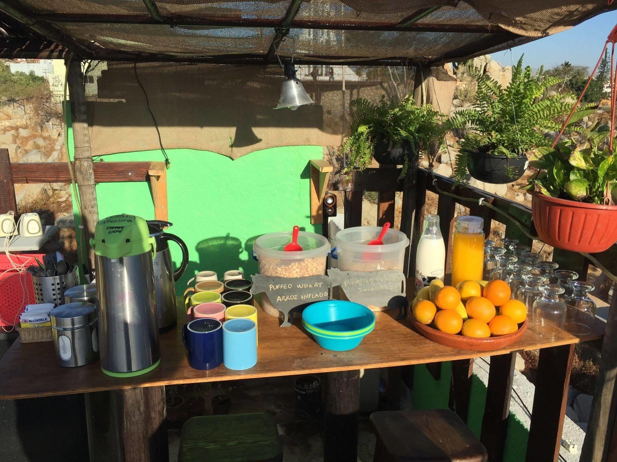 Bajas Cactus Hostel Cabo San Lucas Eksteriør billede