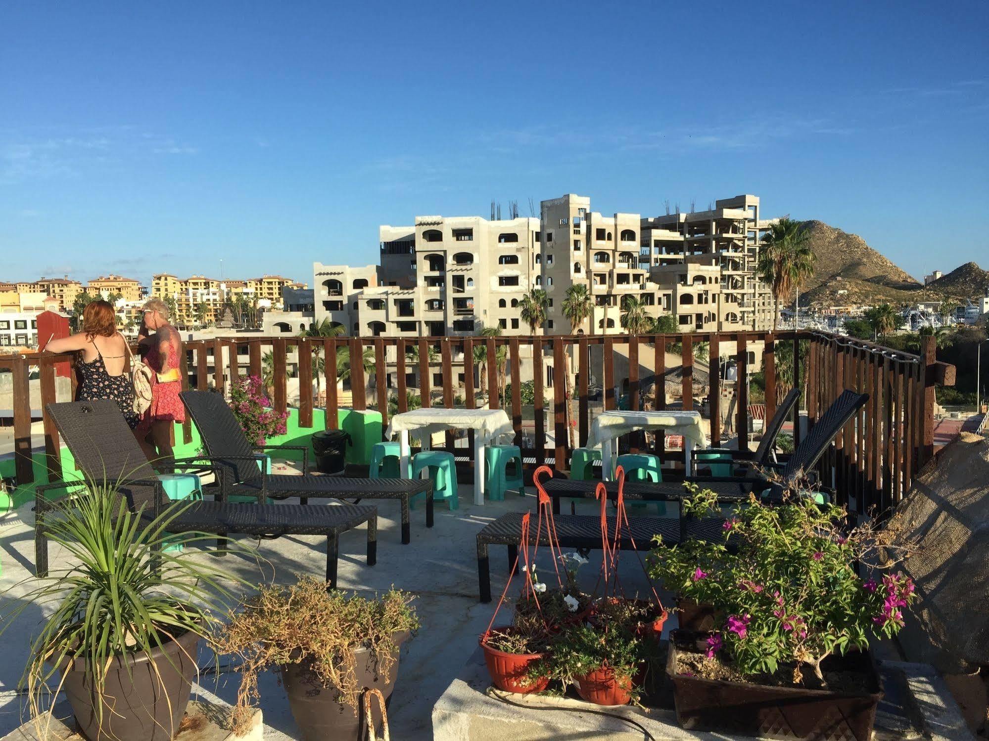 Bajas Cactus Hostel Cabo San Lucas Eksteriør billede