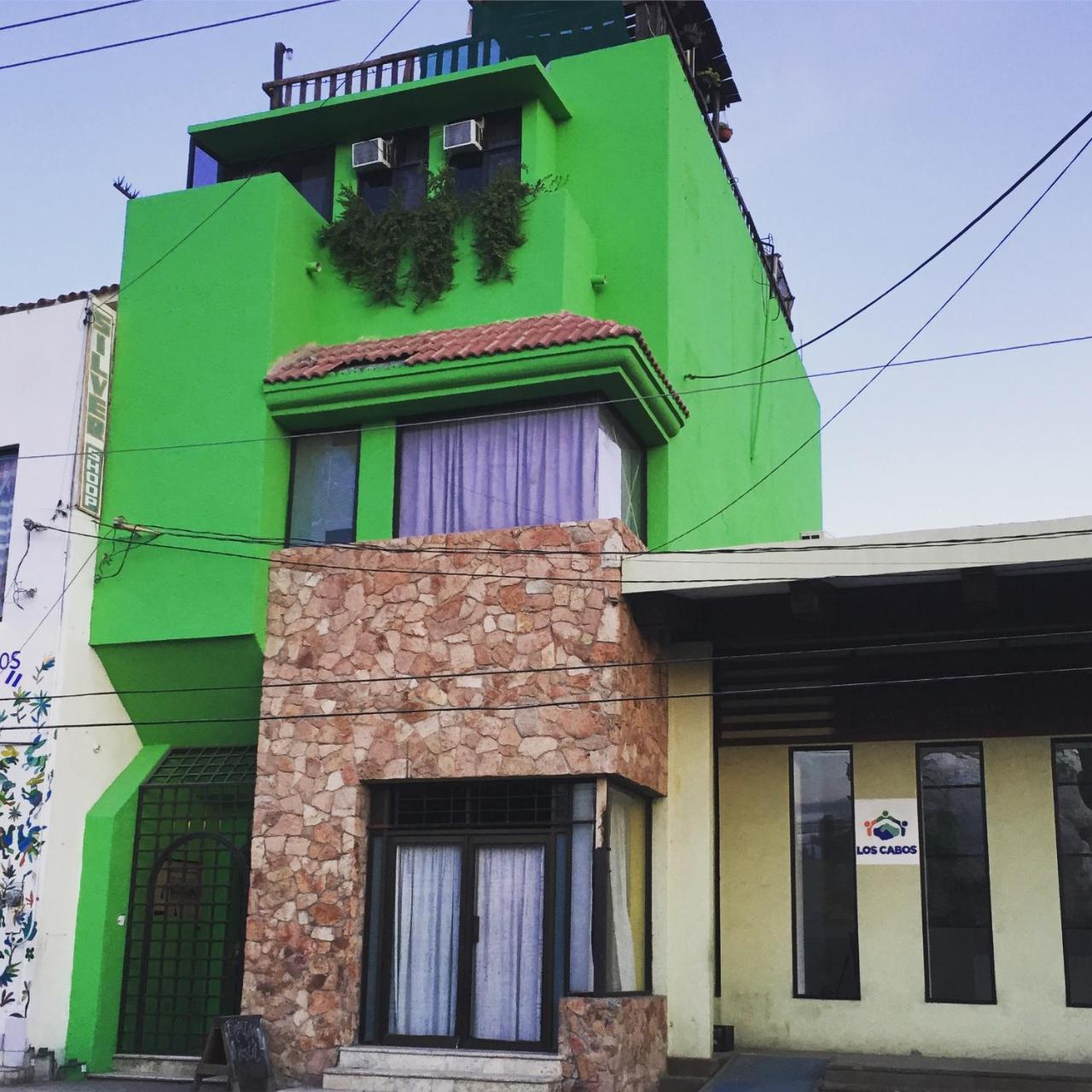 Bajas Cactus Hostel Cabo San Lucas Eksteriør billede