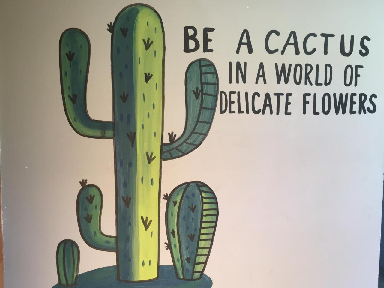 Bajas Cactus Hostel Cabo San Lucas Eksteriør billede
