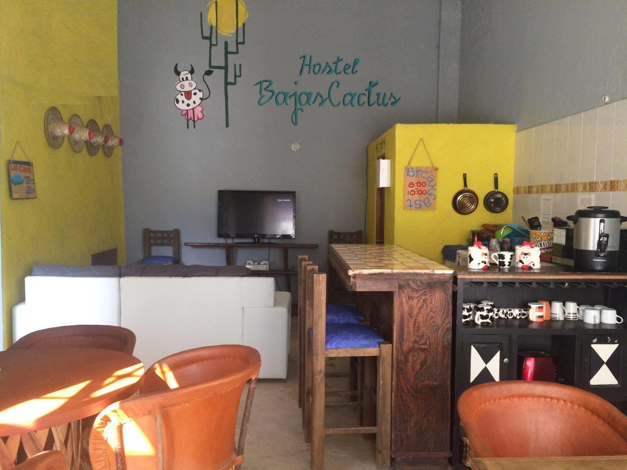 Bajas Cactus Hostel Cabo San Lucas Eksteriør billede