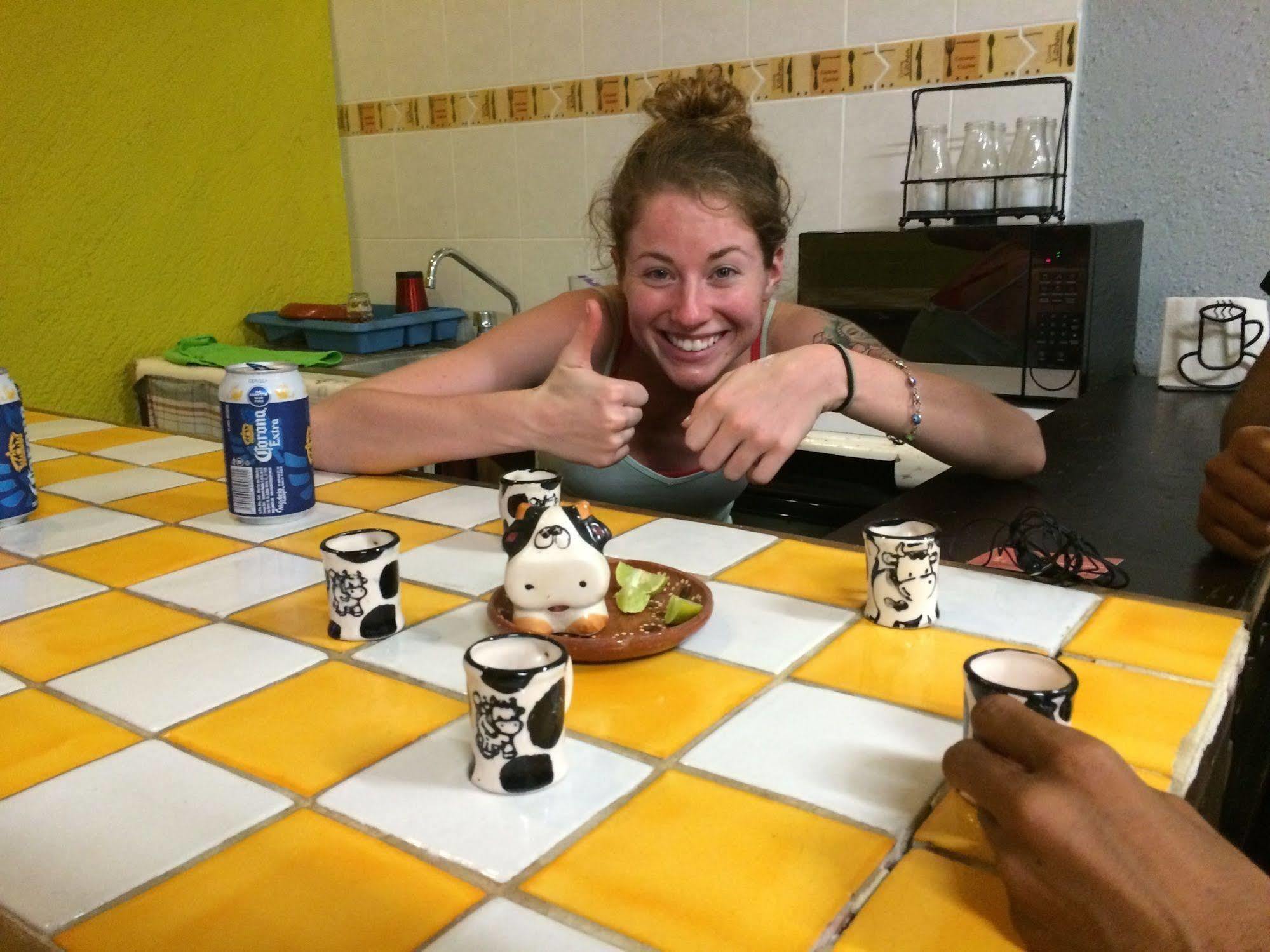 Bajas Cactus Hostel Cabo San Lucas Eksteriør billede