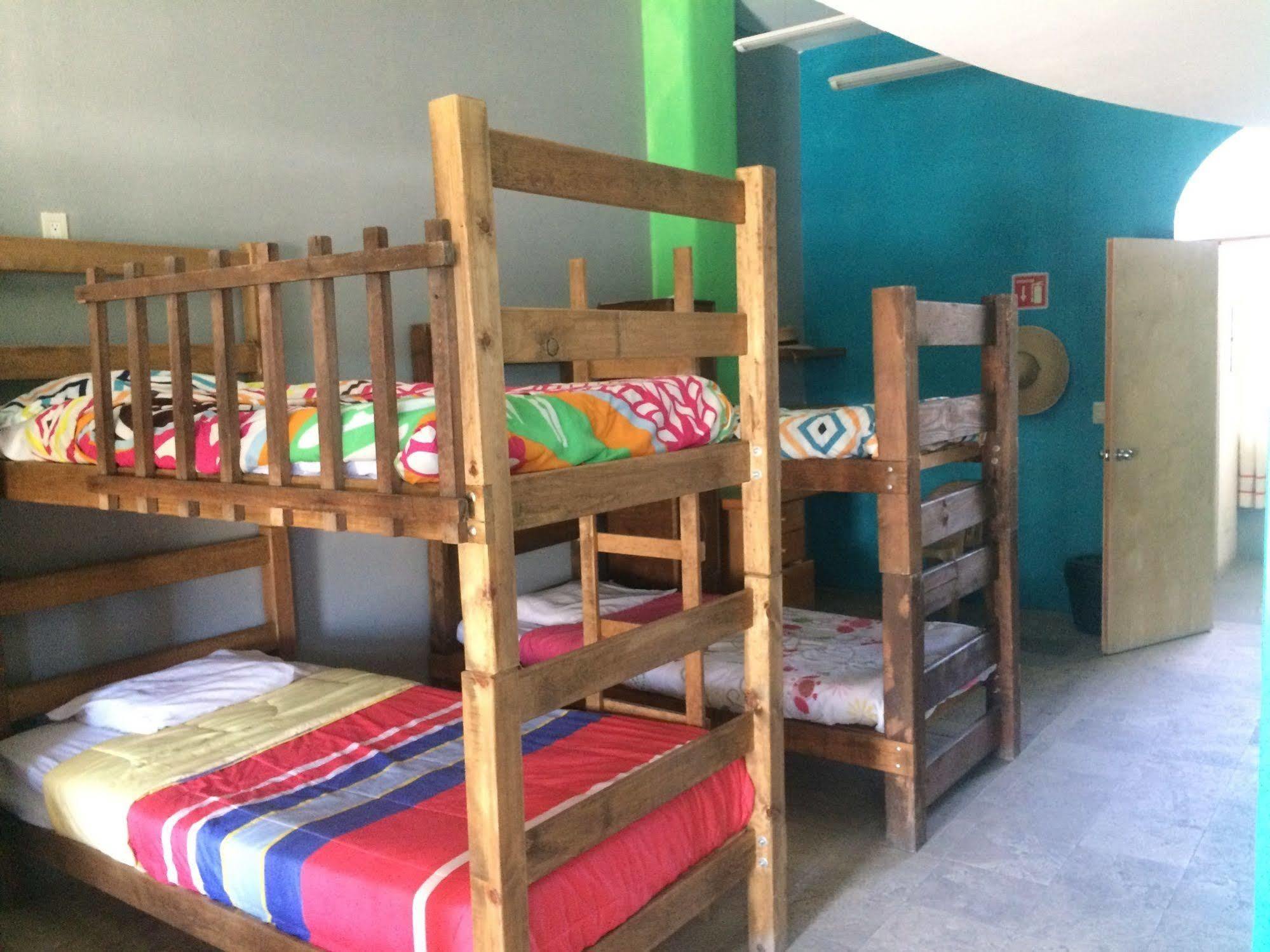 Bajas Cactus Hostel Cabo San Lucas Eksteriør billede