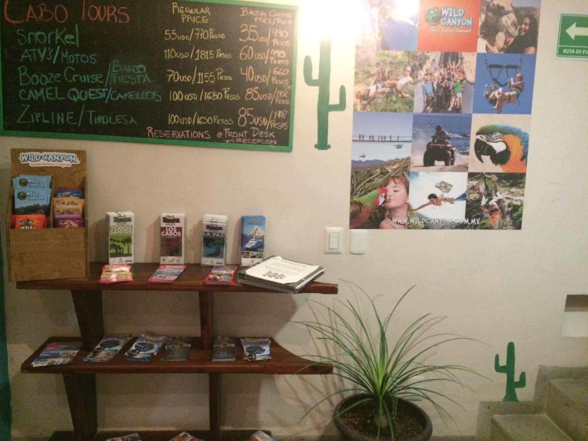 Bajas Cactus Hostel Cabo San Lucas Eksteriør billede