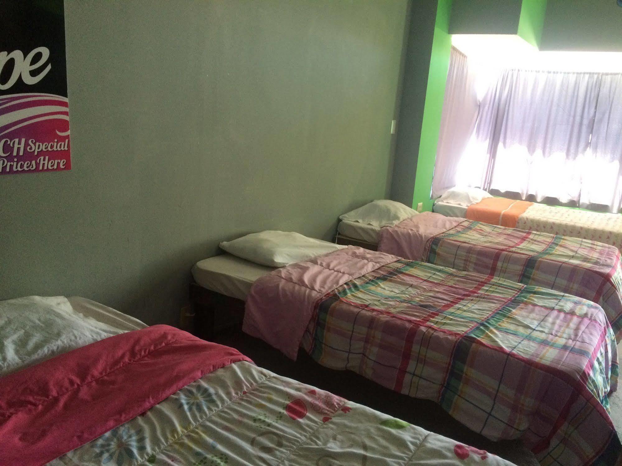 Bajas Cactus Hostel Cabo San Lucas Eksteriør billede