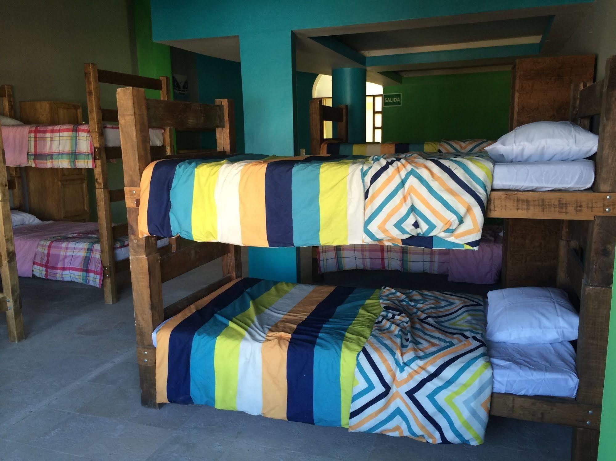 Bajas Cactus Hostel Cabo San Lucas Eksteriør billede