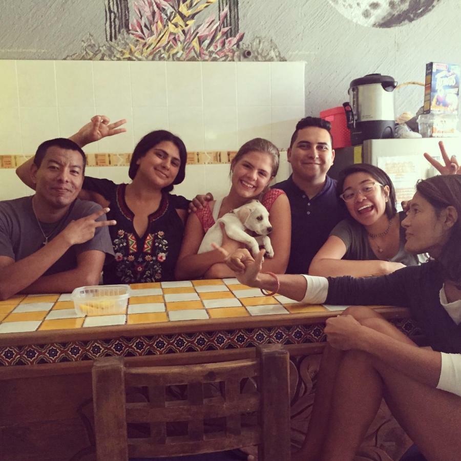 Bajas Cactus Hostel Cabo San Lucas Eksteriør billede